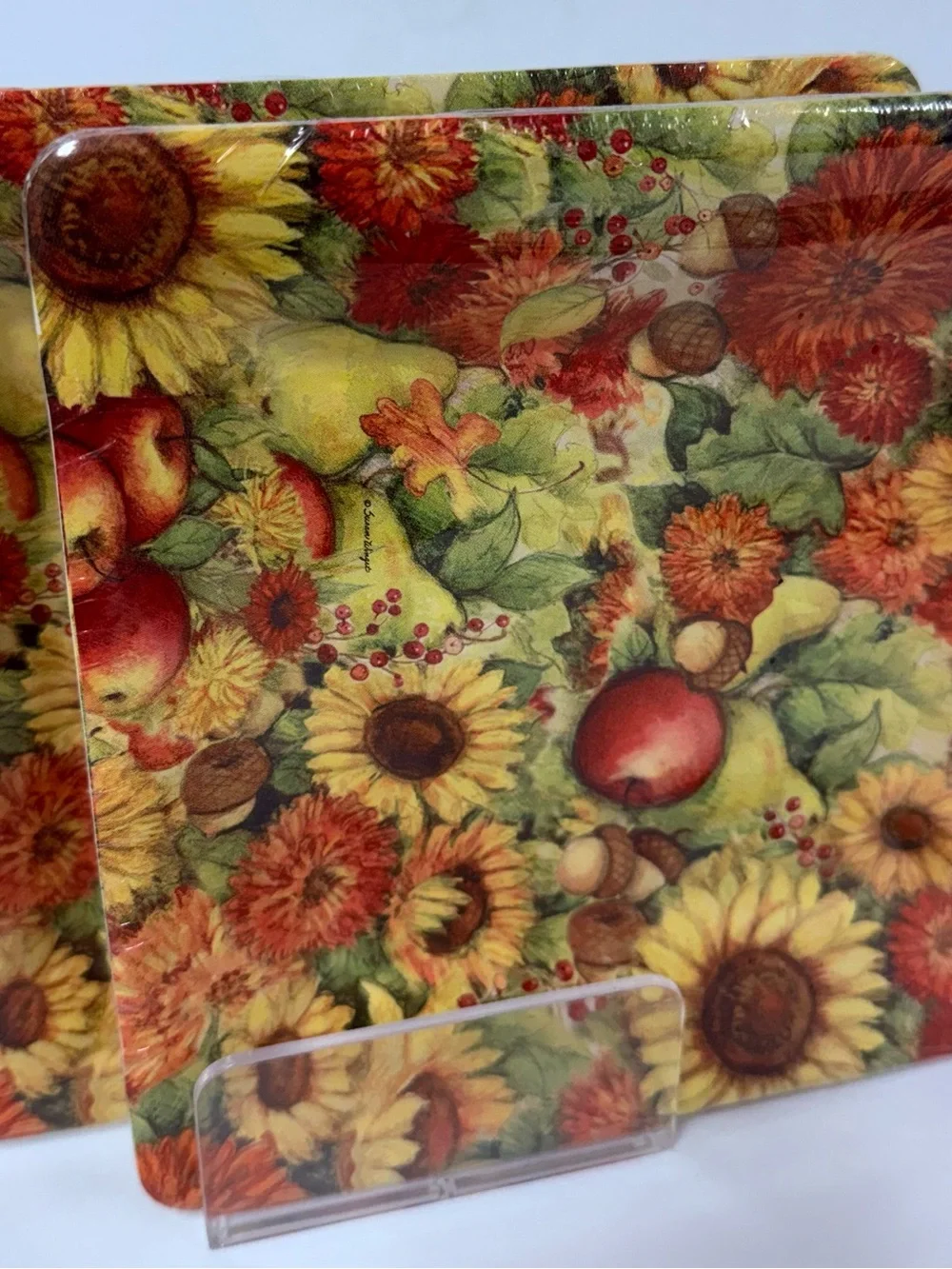 2 Square Salad Paper Plates Boston International 8-Count 7